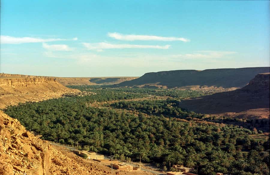 From Fes: 2-Day Luxury Desert Tour to Marrakech & Back Fez - Camel trek into Erg Chebbi: sunset is the whole point
