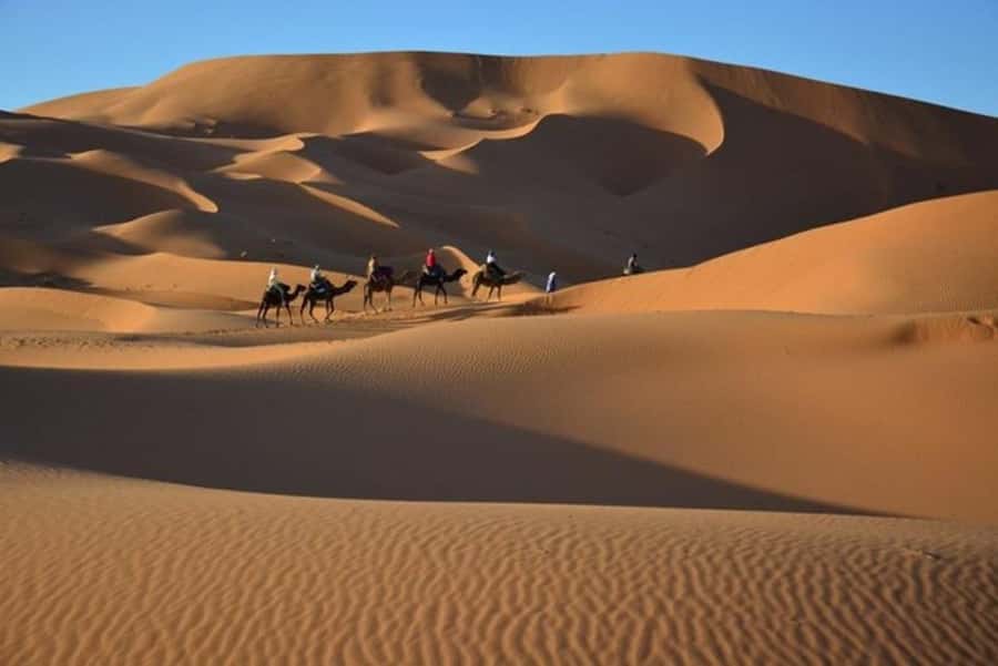 From Fes: 2-Day Luxury Desert Tour to Marrakech & Back Fez - Guides, drivers, and the small details that make it feel safe