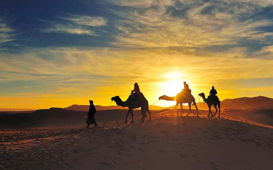 From Fes: 2-Day Luxury Desert Tour to Marrakech & Back Fez - Timing tips that help you enjoy the long drive