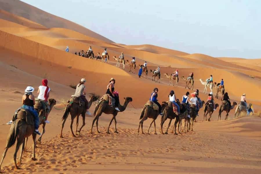 From Fes: 2-Day Luxury Desert Tour to Marrakech & Back Fez - Who should book this tour, and who should skip it