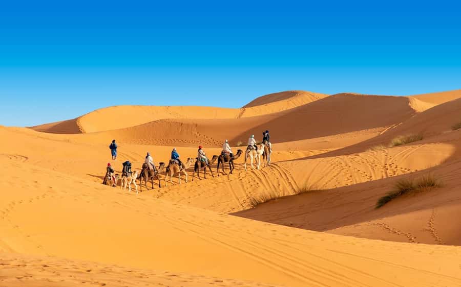 From Fes: 2-Day Merzouga Desert Trip(Luxury Tent & Dinner) - Day 2: Erg Chebbi sunrise, breakfast, and the return to Fez via Rissani and Zawiya Moulay Ali Ash-Sharif