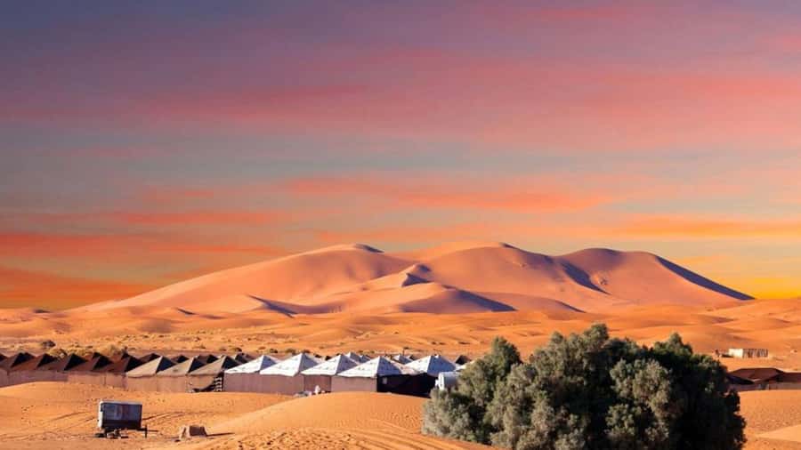 From Fes: 2-Day Merzouga Desert Trip w/Luxury Tent & Dinner - Ifrane Ski Resort Vibes and Cedar Forest Barbary Monkeys