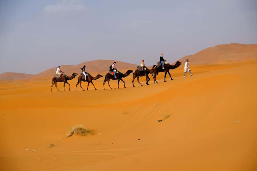 From Fes: 2-Day Merzouga Desert Trip w/Luxury Tent & Dinner - Camel Trek at Sunset, Sandboarding, and Desert Photography That Actually Works