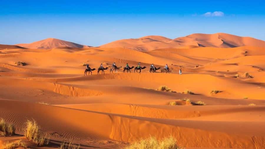 From Fes: 2-Day Merzouga Desert Trip w/Luxury Tent & Dinner - Sunrise on Erg Chebbi, Breakfast, and the Return to Fez or Marrakech