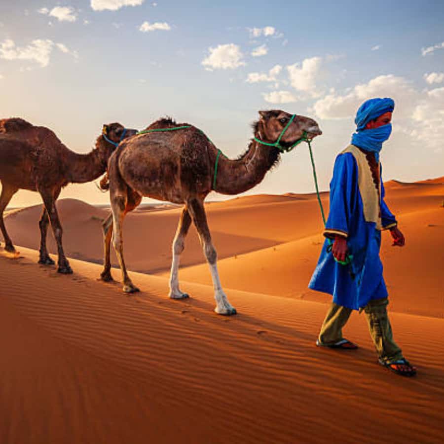 From Fes: 2 Day Round Trip Via Merzouga Desert & Camel Trek - Why This Fes to Merzouga Route Feels Worth It