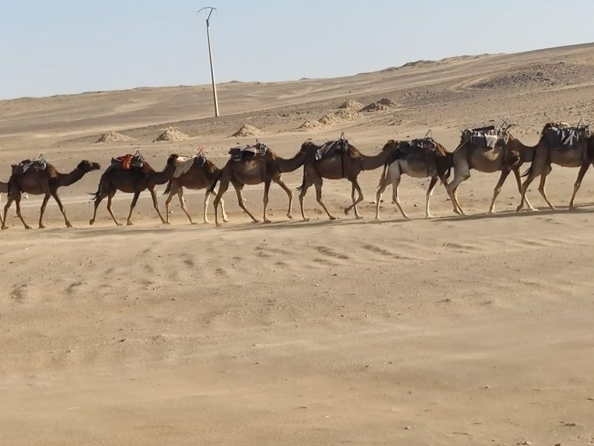 From Fes: 2 Day Round Trip Via Merzouga Desert & Camel Trek - The Human Factor: Guides Like Ali and Hassan Amiri