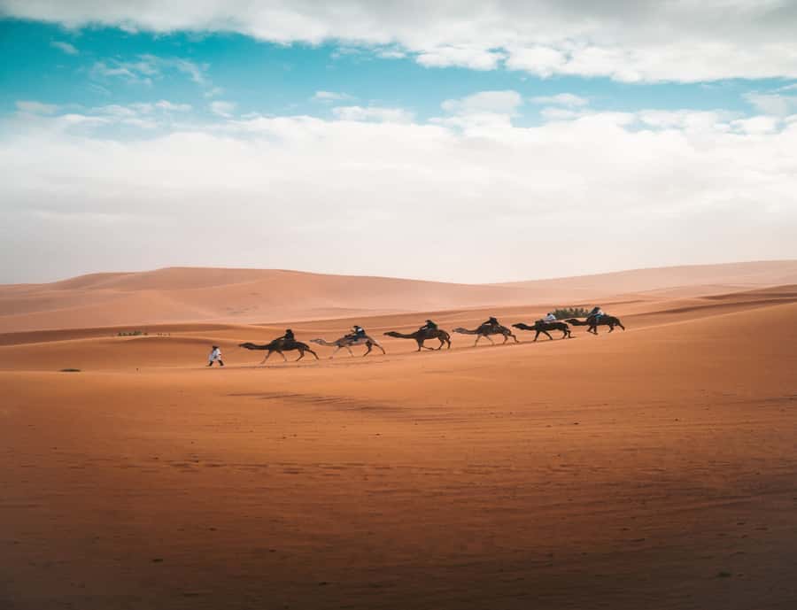 From Fes: 3-Day 2-Night Desert Tour to Marrakech - Key points before you go