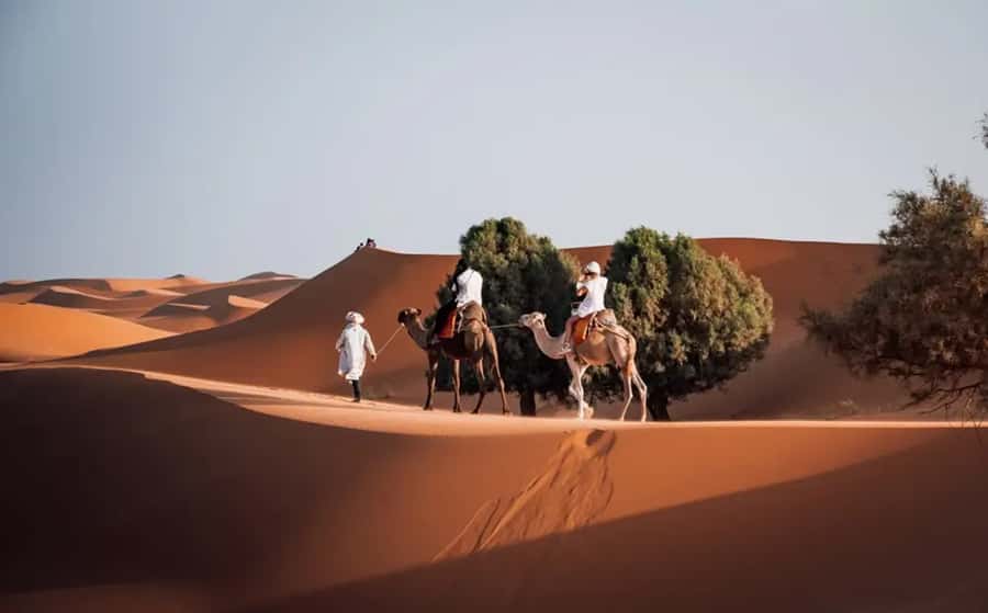 From Fes: 3-Day Luxury Desert Tour to Marrakech via Merzouga - Key takeaways before you go