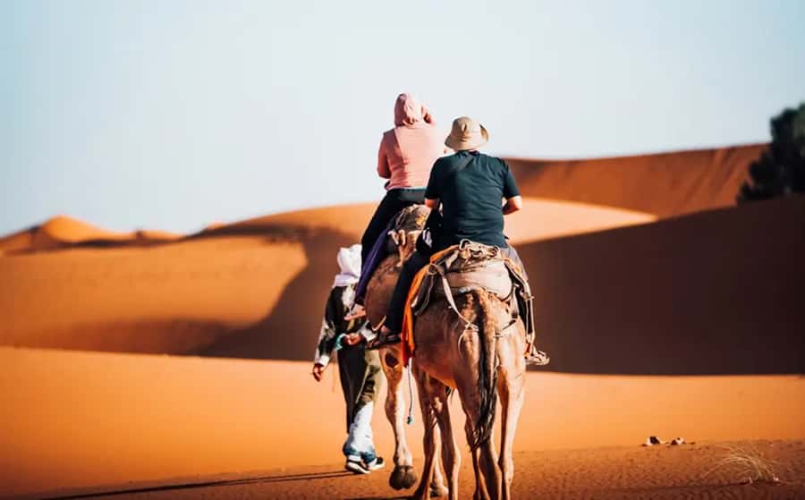 From Fes: 3-Day Luxury Desert Tour to Marrakech via Merzouga - Desert camp night: standard vs luxury, and what to expect