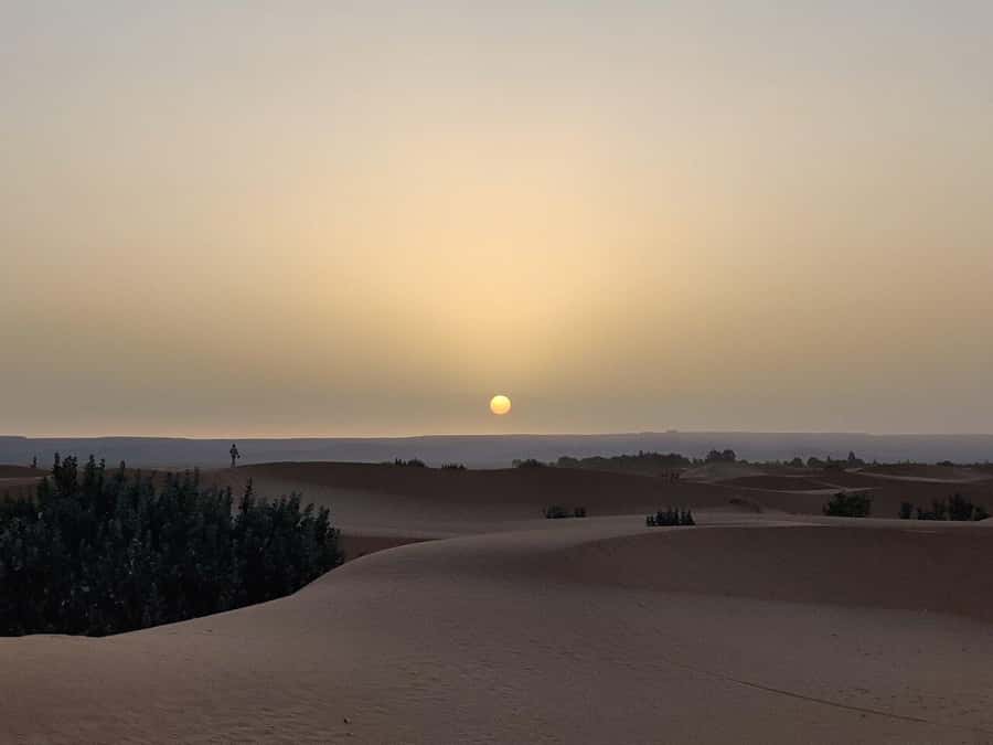 From Fes: 3-Day Luxury Desert Tour to Marrakech via Merzouga - Logistics reality check: long days, meal timing, and what to bring