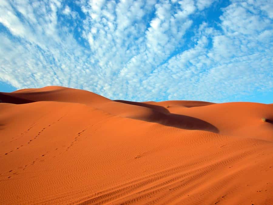 From Fes: 3-Days 2-Nights Desert Tour to Marrakech - Should you book this Fes to Marrakech desert tour?