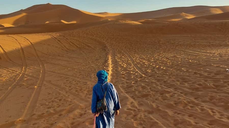 From Fes: 3 Days and 2 Nights Desert Trip to Marrakech - Day 1: Leaving Fes With Cedars, Monkey Spots, and Desert-ward Momentum