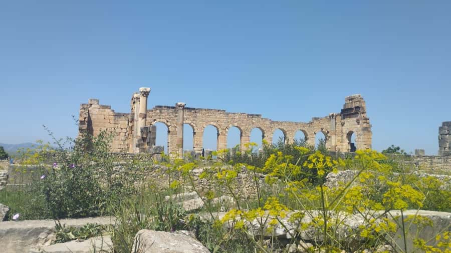 From Fes: Meknes Volubilis and Moulay Idriss Day Trip - Timing and Walking: How to Keep the Day Comfortable