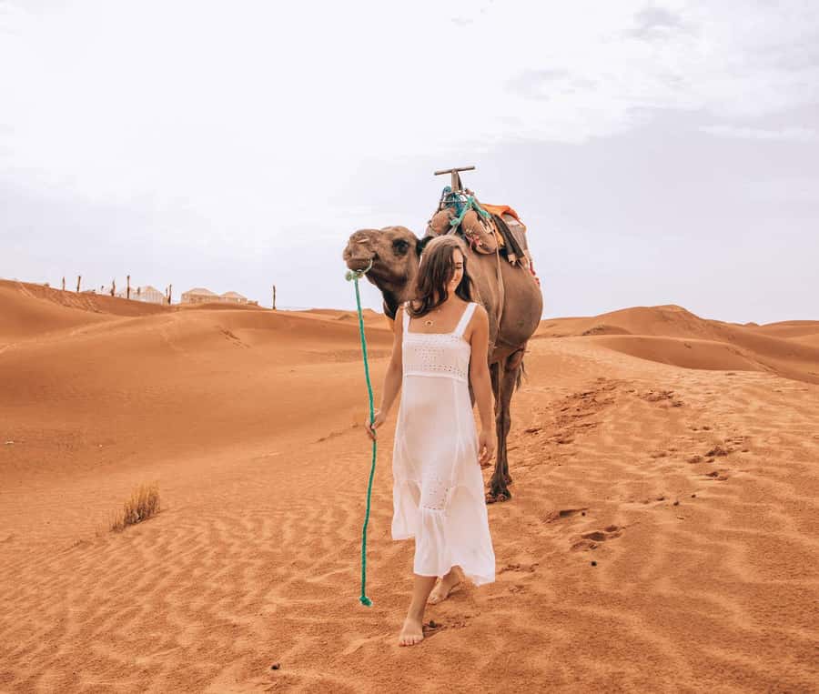 From Fes To Marrakech: 2-Days with Luxury Camp, Desert Tour - Camel Rides at Sunset and Sunrise: The Two Experiences You Should Plan Around