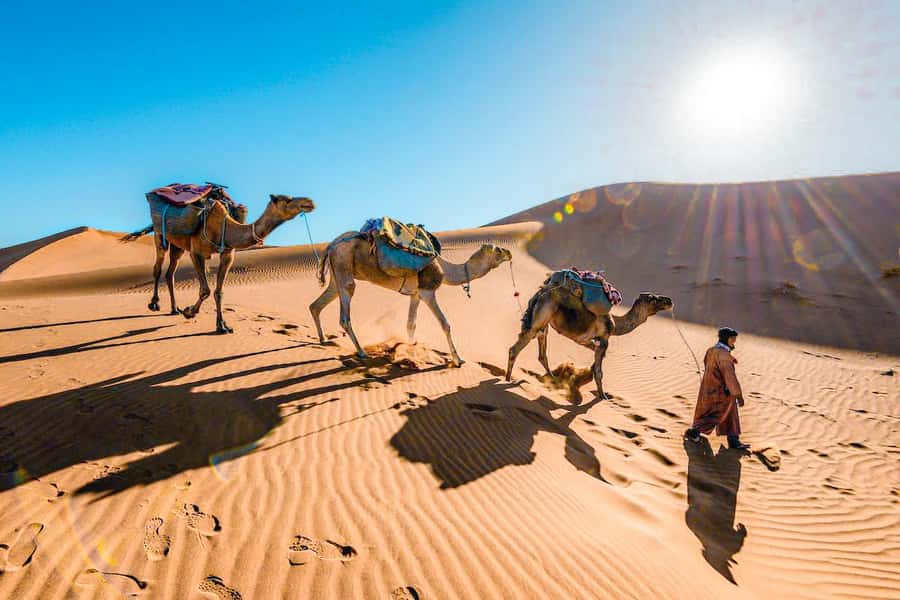 From Fes to Marrakech: 3-Day Sahara Desert Discovery Tour - Key highlights that make this 3-day Fes to Marrakech route work