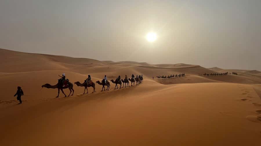 From Fes to Marrakech: 3-Day Sahara Desert Discovery Tour - Who should book this, and who might not love it