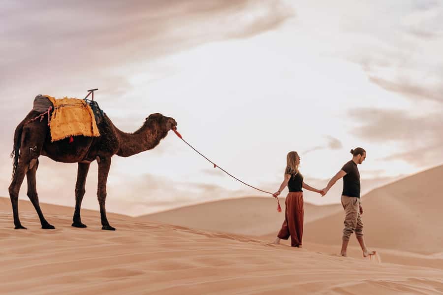From Fes To Marrakech: 3-Day Sahara Desert Tour & Camel Trek - Value and costs: is $182 a good deal for this route?