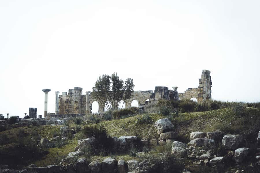 From Fes: Volubilis, Moulay Idriss and Meknes Full-Day Trip - Volubilis Roman ruins: mosaics, scale, and the 8-euro fee