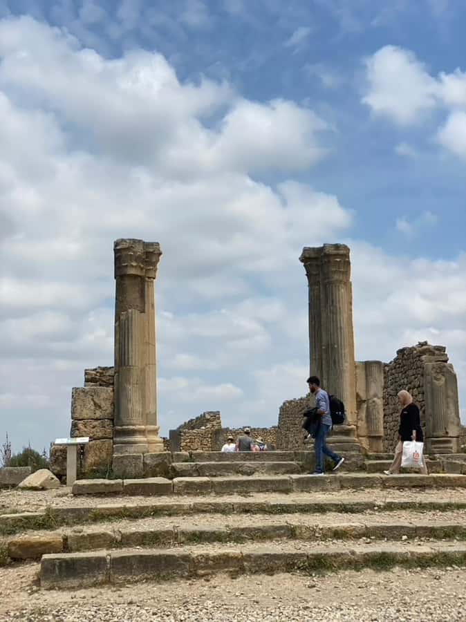 From Fes: Volubilis, Moulay Idriss, & Meknes Full-Day Trip - Who this day trip fits best, and who might want a different plan