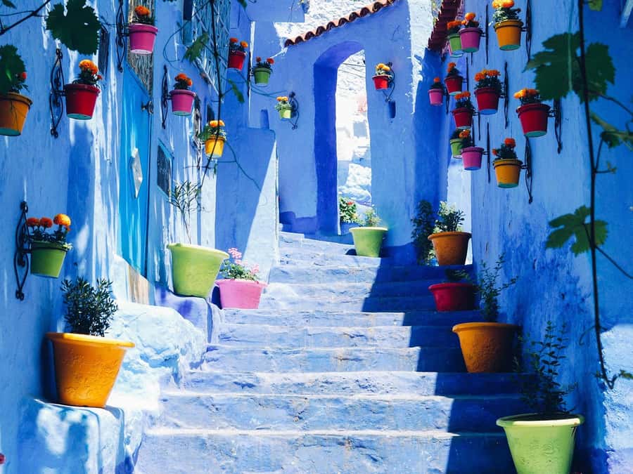 From Fez: Day Tour to the Blue Town of Chefchaouen - Why Chefchaouen looks so unreal, and why that matters for your photos