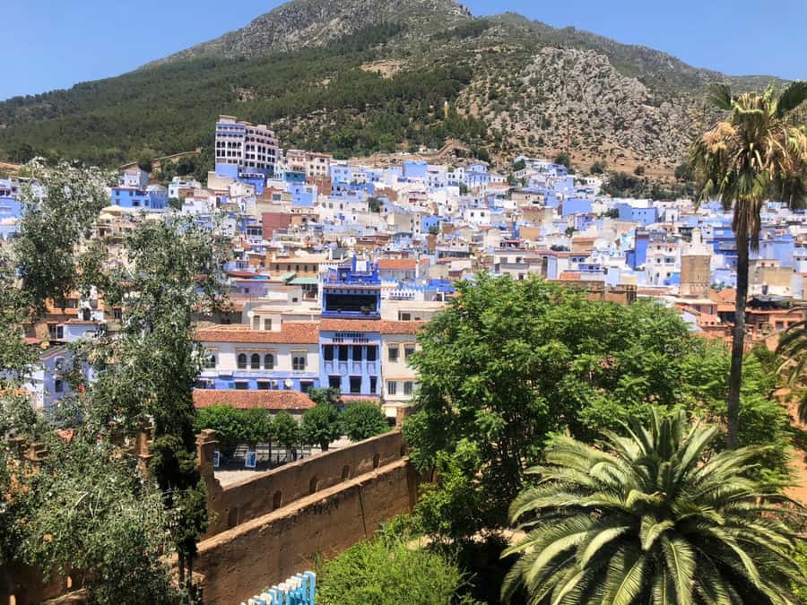 From Fez: Day Tour to the Blue Town of Chefchaouen - Plaza Uta el-Hammam: why this square is more than a place to sit