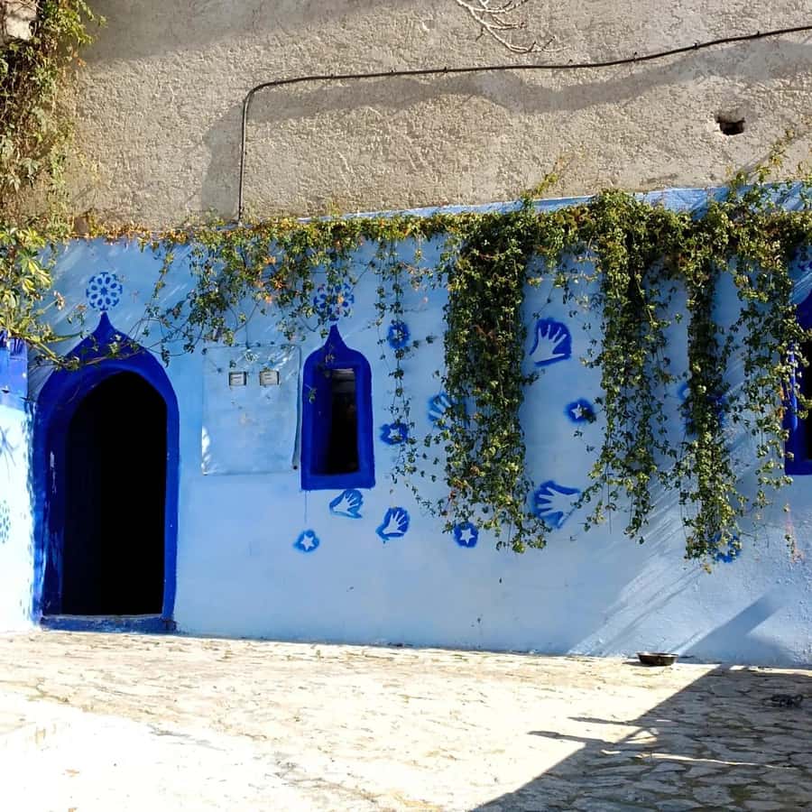 From Fez : Memorable Day Trip to Chefchaouen the Blue City - Key highlights I’d plan around