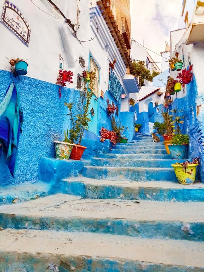 From Fez : Memorable Day Trip to Chefchaouen the Blue City - Panoramic viewpoint before Bab Sour, where the colors hit