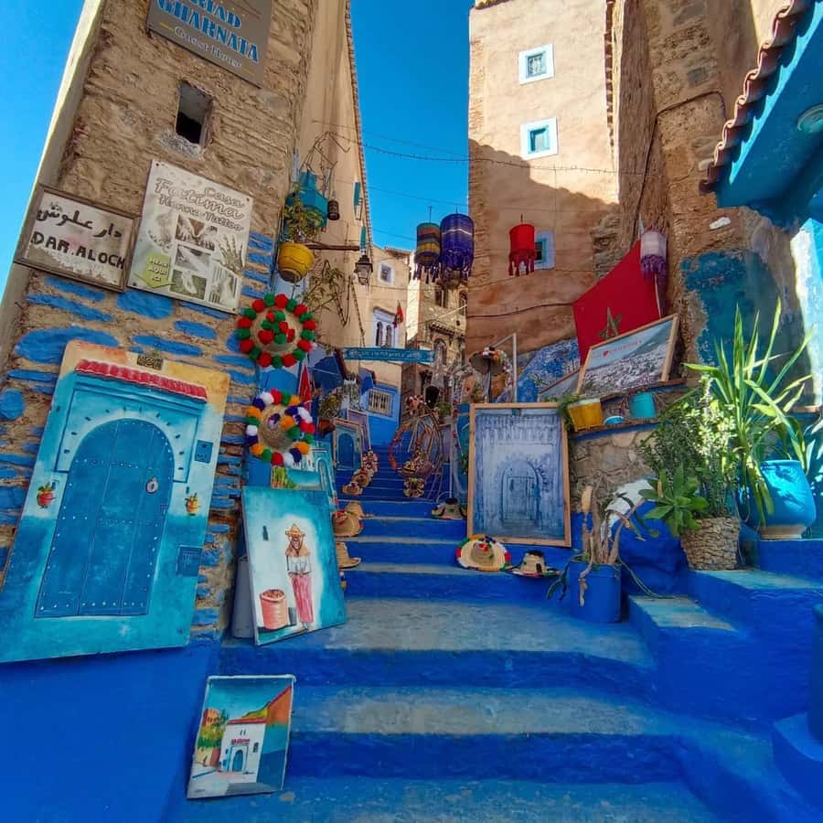 From Fez : Memorable Day Trip to Chefchaouen the Blue City - The driver experience: where this tour wins (and where it can wobble)