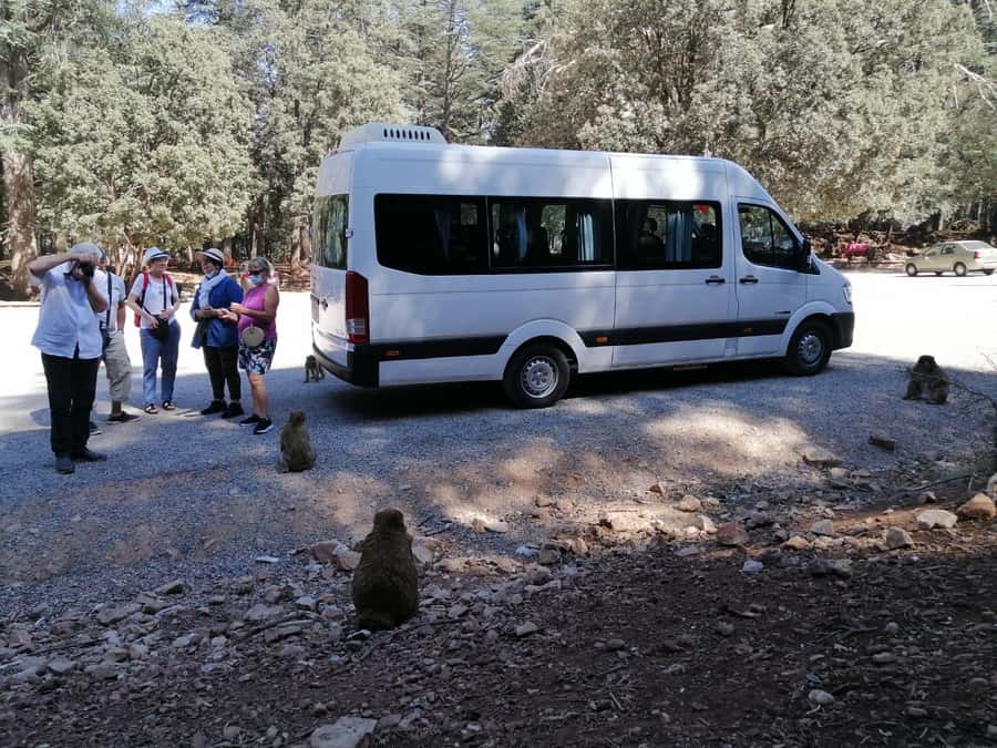 From Fez: Middle Atlas Day Trip with Ifrane National Park - Hotel pickup and the ride out of Fez (what to watch for)
