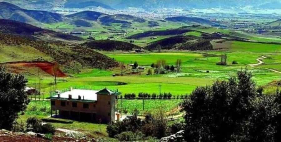 From Fez: Middle Atlas Ifran and Forest of Monkeys Day Trip - Ifrane And Barbary Macaques: Why This Day Trip Clicks From Fes