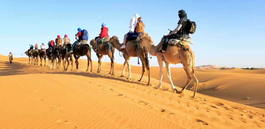 From Fez: Round-Trip Overnight Merzouga Desert Tour - Day 1: Fez to Merzouga, Ifrane breaks, cedar forest monkeys, Ziz Valley, then a sunset camel trek
