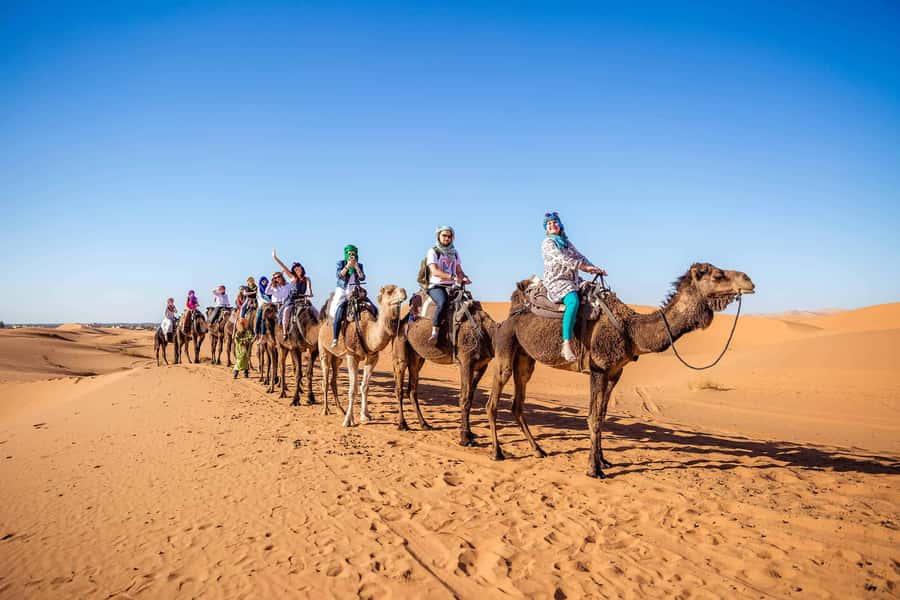 A camel train crossing the dunes of Erg Chebbi at first light