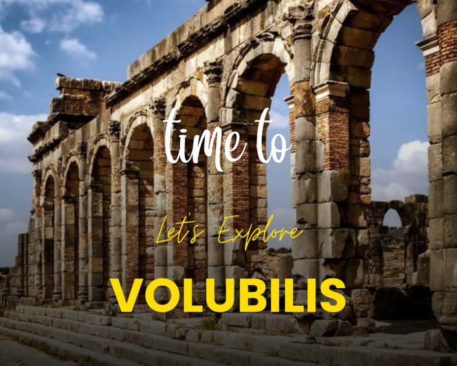 From Fez: Volubilis Moulay Idriss & Meknes Full-Day Trip - Volubilis Roman City: What You Can See Without Feeling Torn