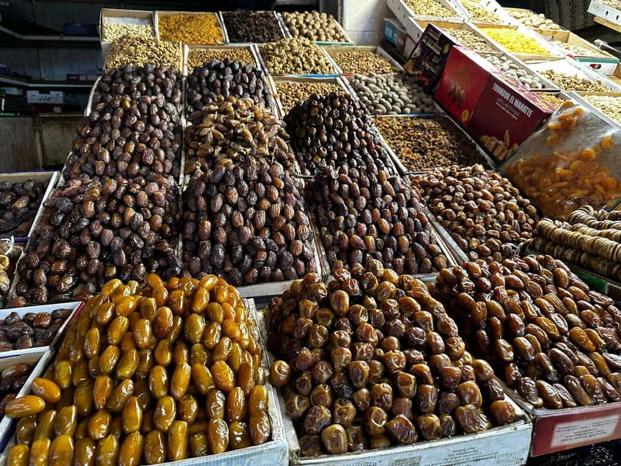 From Fez: Volubilis Moulay Idriss & Meknes Full-Day Trip - Practical Tips to Make the Day Feel Easy