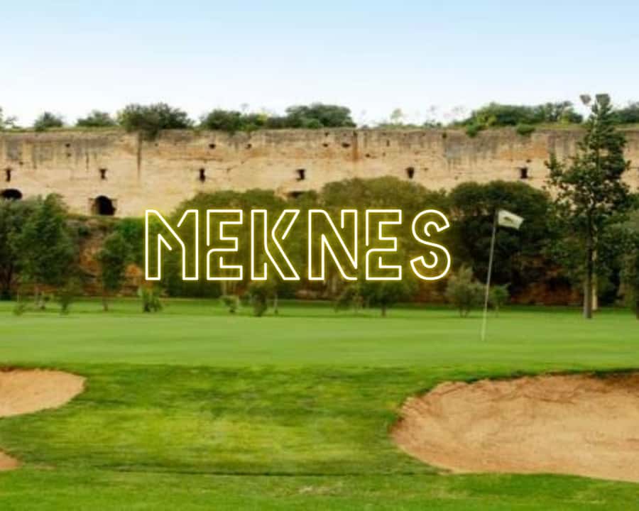 From Fez: Volubilis Moulay Idriss & Meknes Full-Day Trip - Pickup, the Air-Conditioned Car, and the Role of Your Driver
