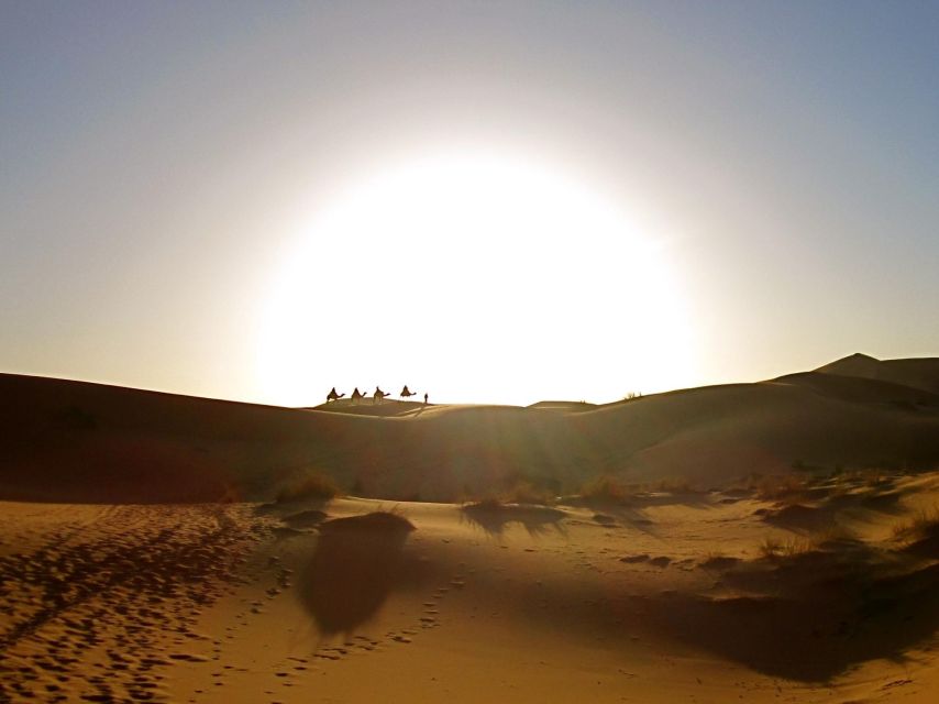 From Marrakech: 2-Day Zagora Desert Trip - Pacing, comfort, and the reality of “worth the drive”