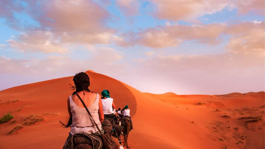 From Marrakech : 2 Days 1 night trip to Fes via Merzouga - Price and logistics: Is $141 per person good value?