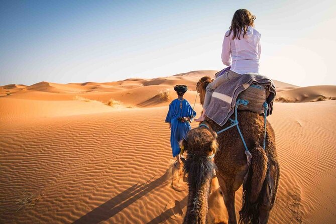 From Marrakech: 3-Day, 2-Night Merzouga Dunes Desert Trip - Price and Value: Is $232.63 a Fair Deal for Merzouga?