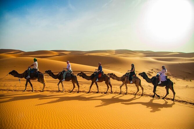 From Marrakech: 3-Day Desert Tour to Agadir - Day 3: Sunrise on the dunes, Rose Valley, Draa Valley kasbahs, and arrival in Agadir