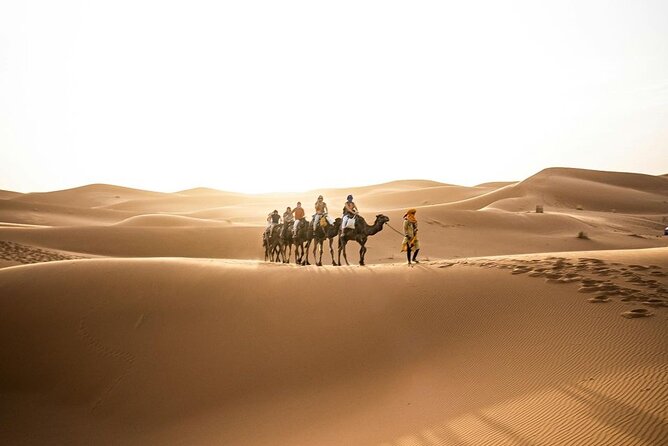 From Marrakech: 3-Day Desert Tour to Agadir - Comfort, clothing, and the long-drive reality