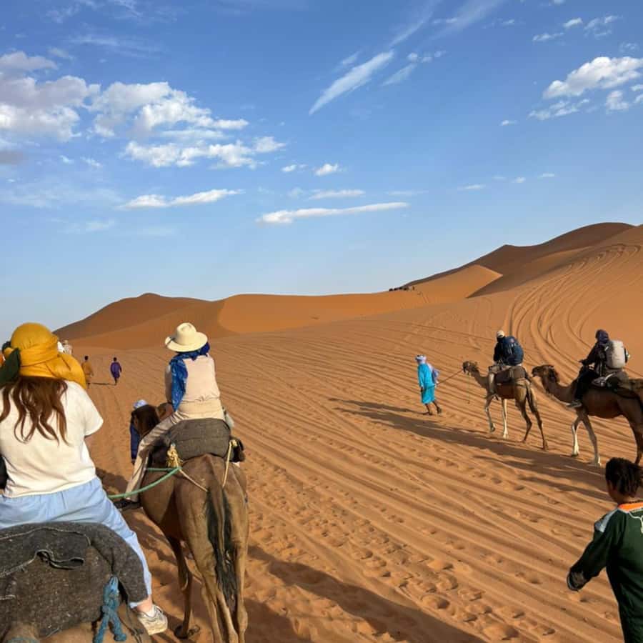 From Marrakech: 3 Day Round Trip To Merzouga Desert & Camel - Day 2 to Merzouga: Todgha Gorges, oasis towns, and the build-up to Erg Chebbi