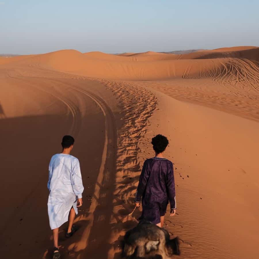 From Marrakech: 3 Day Round Trip To Merzouga Desert & Camel - Is $76 good value for this 3-day Marrakech to Merzouga circuit?