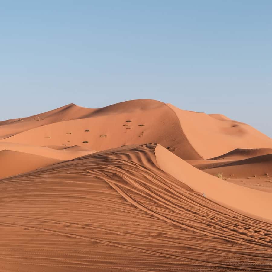 From Marrakech: 3 Day Round Trip To Merzouga Desert & Camel - Guides and the shared-group feel: names you will hear again and again
