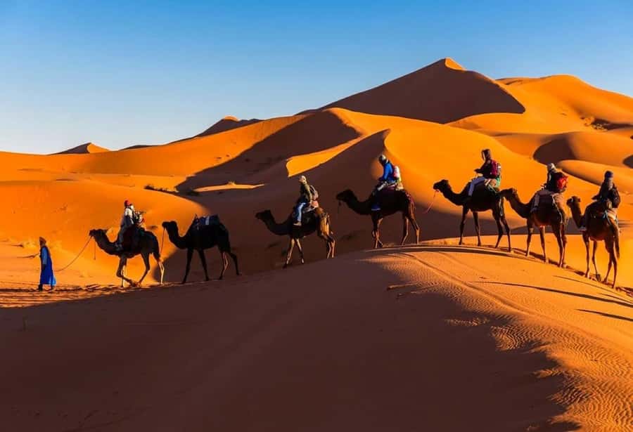 From Marrakech: 3-Day Sahara Desert Adventure to Fes - Key points to know before you go