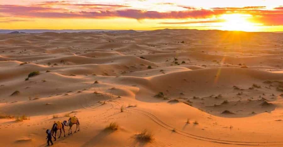 From Marrakech: 3 Days Desert Tour To Merzouga Luxury Camp - Guides make the trip feel smooth, and names keep showing up