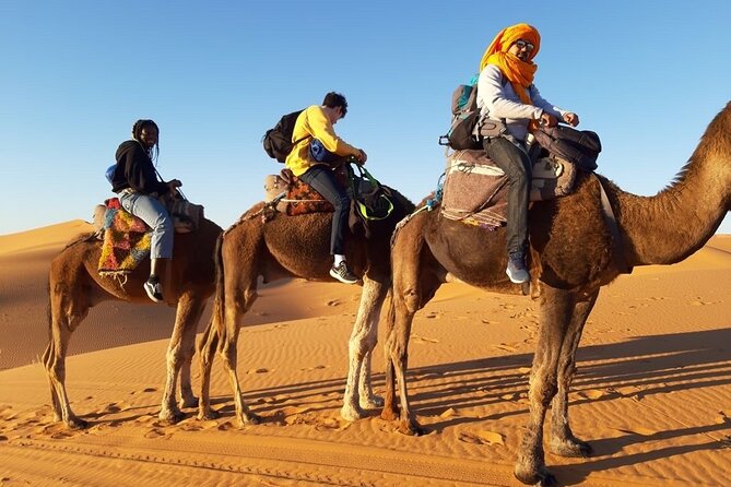From Marrakech 3 Days Tour To Merzouga Sahara Desert - Price and value: what your $110.50 actually buys