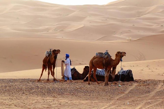 From Marrakech 4 Days Tour To Morocco Sahara Desert - Todgha Gorge and Merzouga, the shift from canyon walls to Sahara sand