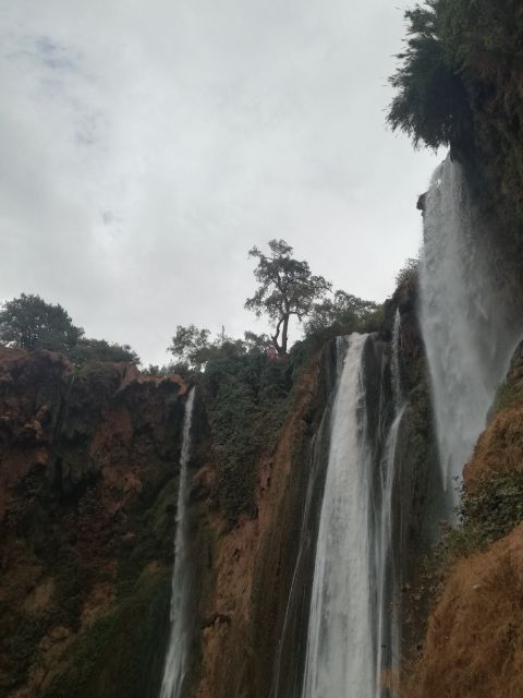 From Marrakech: A day Trip to Ouzoud waterfalls - Walking the Ouzoud trails: viewpoints, rhythm, and monkey sightings