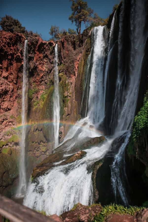 From Marrakech: A day Trip to Ouzoud waterfalls - Marrakech to Ouzoud by minibus: timing, comfort, and the drive reality