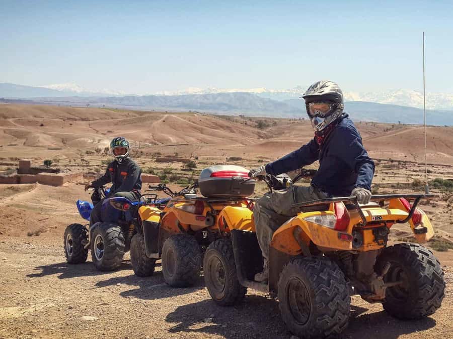 From Marrakech: Adventure Quad Ride in La Palmeraie - Price and Value at $58: What’s Included, What Might Cost Extra